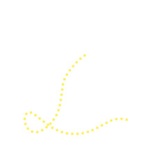 Yellow Dotted Line 