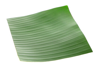 Piece of banana leaf isolated on white. Traditional meal serving