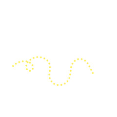 Yellow Dotted Line 