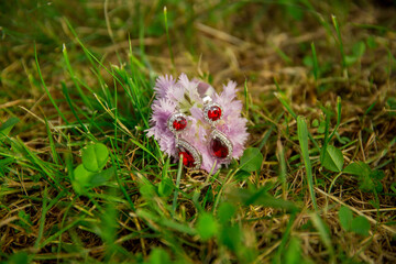 A pair of earrings are on a flower in a field. The earrings are red and silver