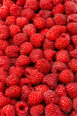 Tasty fresh raspberry as a background.