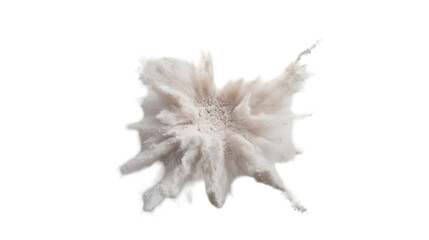 Fototapeta premium powder explosion png
