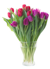 bouquet of  red and purple  tulip flowers