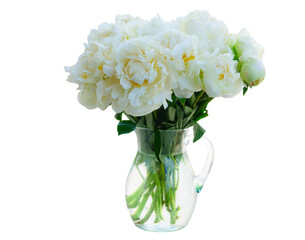 White peony flowers