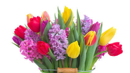 hyacinths and tulips