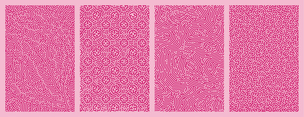 A collection of organic pink Turing abstract line patterns background design