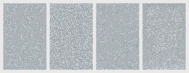 A collection of organic Turing abstract line patterns background design