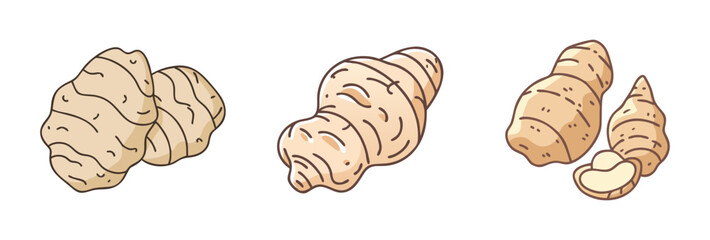 jerusalem artichoke vector icon, vegetables vector illustration - simple illustration of jerusalem artichoke perfect for logos, and vegetables-themed designs.