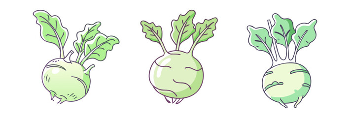 kohlrabi vector icon, vegetables vector illustration - simple illustration of kohlrabi perfect for logos, and vegetables-themed designs.