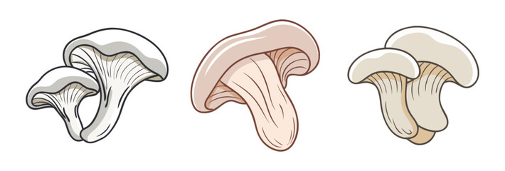 oyster mushroom vector icon, vegetables vector illustration - simple illustration of oyster mushroom perfect for logos, and vegetables-themed designs.
