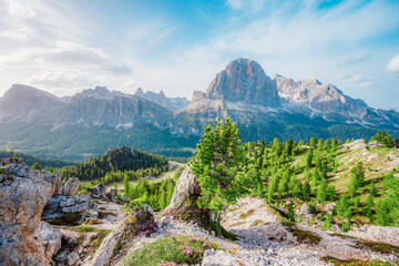 Majestic landscape of Alpine Cinque Torri in background Passo Falzarego, Tofana. Hiking nature scenery in Dolomite, Italy near Cortina d'Ampezzo