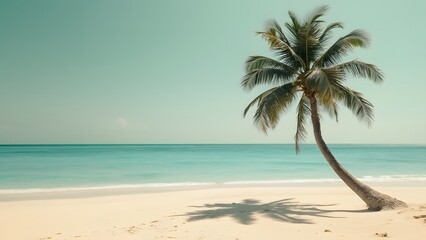 Minimalist Beige Beach Scene, Serene Palm Tree on Turquoise Water - Travel Inspiration