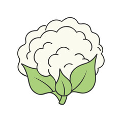 cauliflower vector icon, vegetables vector illustration - simple illustration of cauliflower perfect for logos, and vegetables-themed designs.