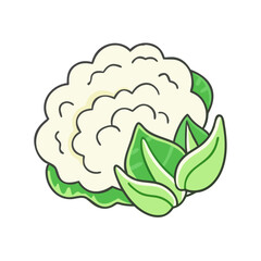 cauliflower vector icon, vegetables vector illustration - simple illustration of cauliflower perfect for logos, and vegetables-themed designs.