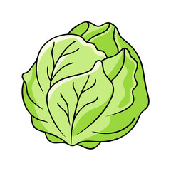 iceberg lettuce vector icon, vegetables vector illustration - simple illustration of iceberg lettuce perfect for logos, and vegetables-themed designs.