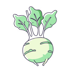 kohlrabi vector icon, vegetables vector illustration - simple illustration of kohlrabi perfect for logos, and vegetables-themed designs.