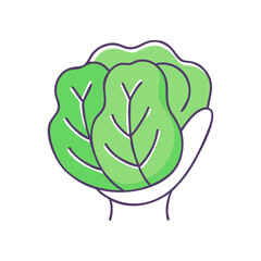 lettuce head vector icon, vegetables vector illustration - simple illustration of lettuce head perfect for logos, and vegetables-themed designs.