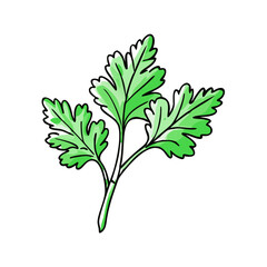 parsley sprig vector icon, vegetables vector illustration - simple illustration of parsley sprig perfect for logos, and vegetables-themed designs.