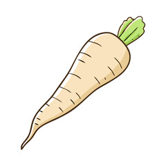 parsnip vector icon, vegetables vector illustration - simple illustration of parsnip perfect for logos, and vegetables-themed designs.