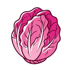 radicchio vector icon, vegetables vector illustration - simple illustration of radicchio perfect for logos, and vegetables-themed designs.