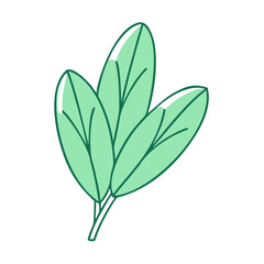 sage leaf vector icon, vegetables vector illustration - simple illustration of sage leaf perfect for logos, and vegetables-themed designs.