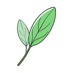 sage leaf vector icon, vegetables vector illustration - simple illustration of sage leaf perfect for logos, and vegetables-themed designs.
