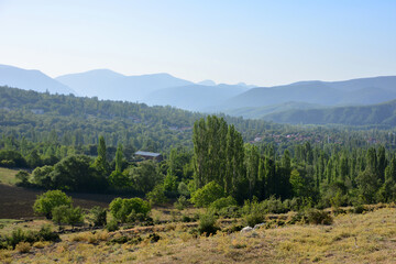 Obraz premium a mountain landscape with green trees and a village 