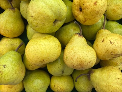 Pear packham displayed on plastic shelves for sale in the market. Pear Packham Background. Texture beckground.