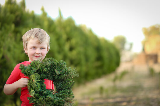 Little boy standing in front of row of Christmas trees on farm holding wreath
