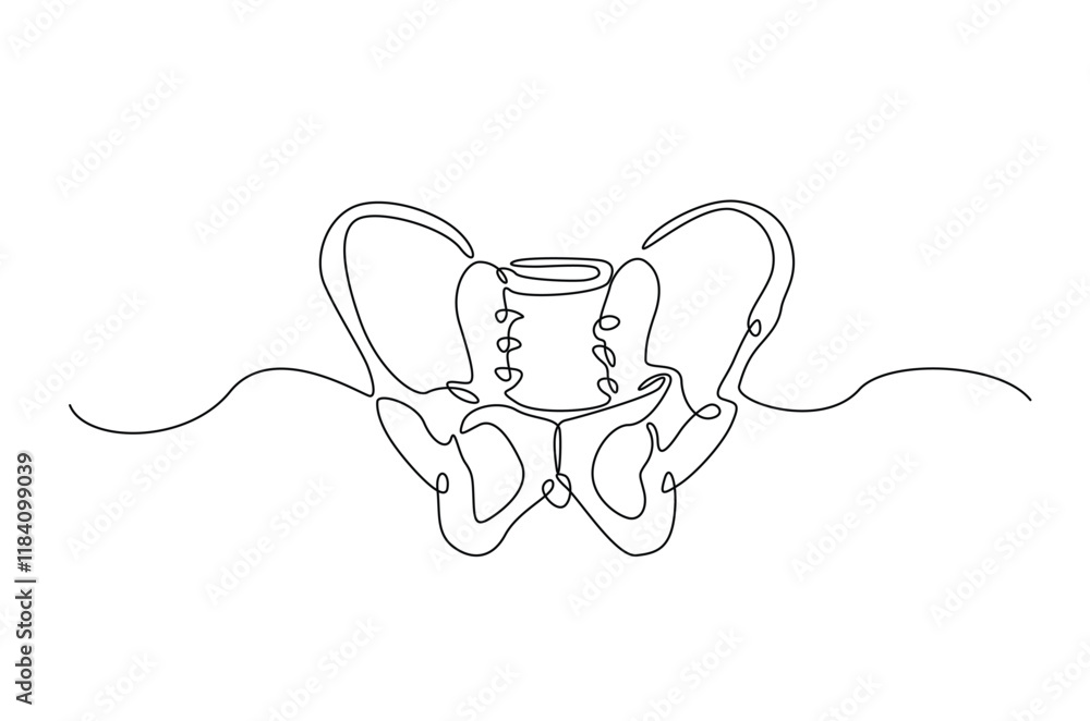 Poster human pelvic bone in continuous one line drawing. anatomical structure. editable vector.