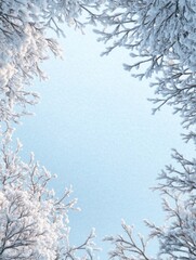 Snow covered branches frame a pale blue winter sky