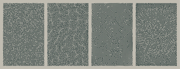 A set collection of abstract organic line turing patterns backgrounds