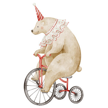 Watercolor illustration of a Circus bear wearing a festive hat and ruffled collar, riding a Tricycle. Cute animal with bike for childish greeting cards or baby shower invitations. Drawing for kids.