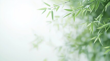 Bamboo leaves gently swaying in the breeze, creating a sense of tranquility and harmony in a spa environment.