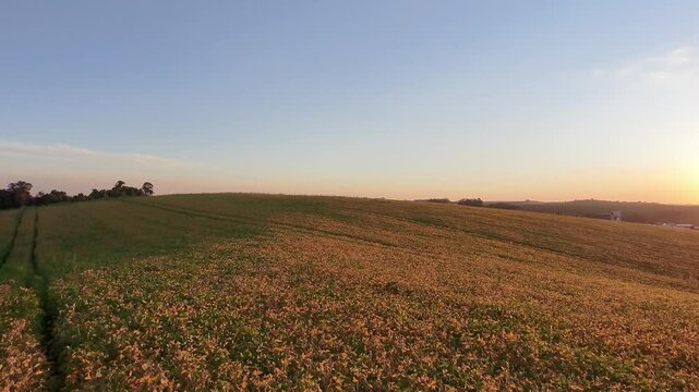 paisagem lavoura em p&ocirc;r do sol 