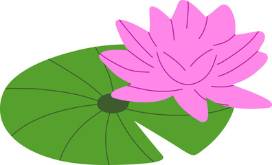 pink water lily on green pad