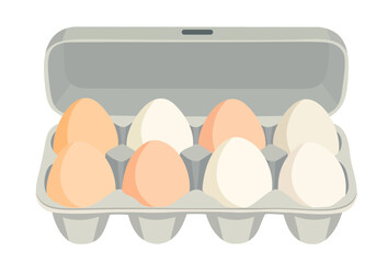 Eggs in packaging. Open egg box. Vector isolated illustration