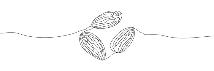 Almond nut outline style vector illustration. Healthy organic food, ingredient