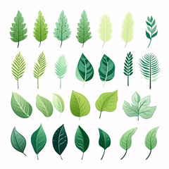 Collection of Various Green Leaves Featuring Different Shapes, Sizes, and Textures Ideal for Nature Backgrounds and Design Projects