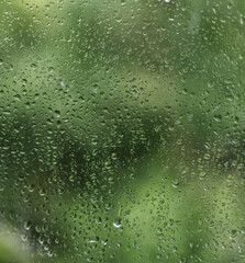 Raindrops on the glass window overlooking the green garden