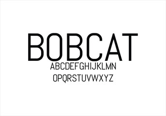 Bobcat font for logo and headline. Isolated vector typeset