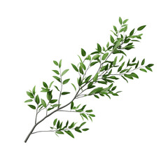 Naklejka premium Realistic green branch with leaves on a transparent background