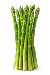 Green fresh asparagus isolated on white background