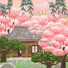 벚꽃이 만개한 정원이 있는 한옥의 풍경. 포스터 타입의 벡터 일러스트레이션	