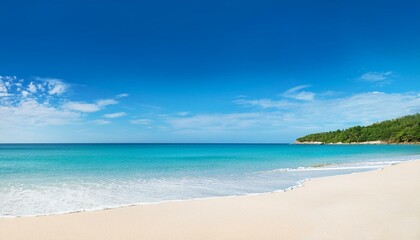 Obraz premium panoramic coastal paradise with white sandy seaside and clean blue skies banner format copy area