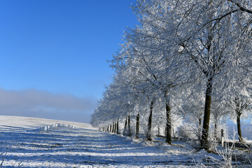 schöne Winterlandschaft in der Rhön