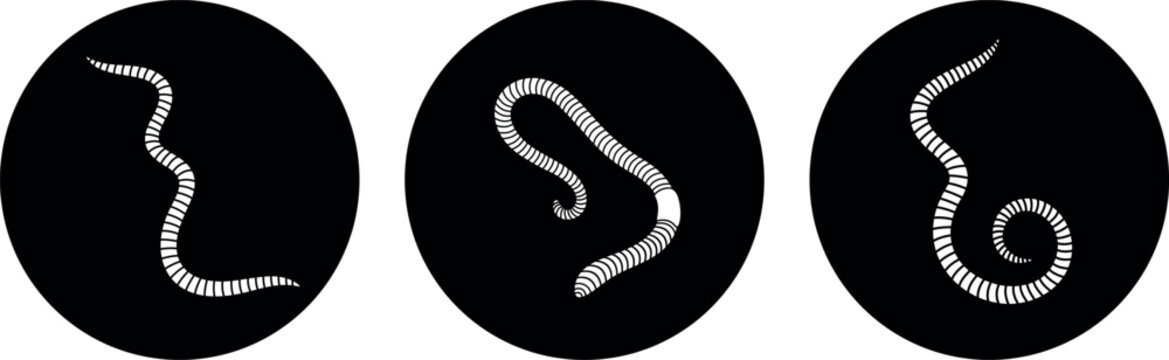 Earthworm logo. Isolated earthworm on white background