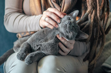 Young woman has her pet in her lap, a gray cat whose silver fur beautifully shines in the daylight....