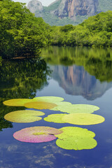 Serene mountain lake with lily pads reflecting majestic cliffs, ideal for travel and nature publications