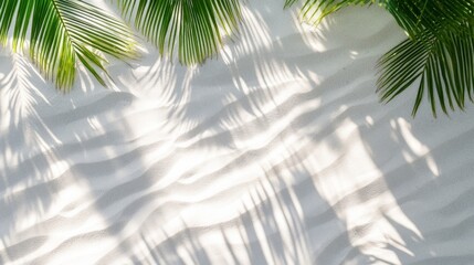 Relaxing summer beach scene with palm leaves casting shadows over warm sand